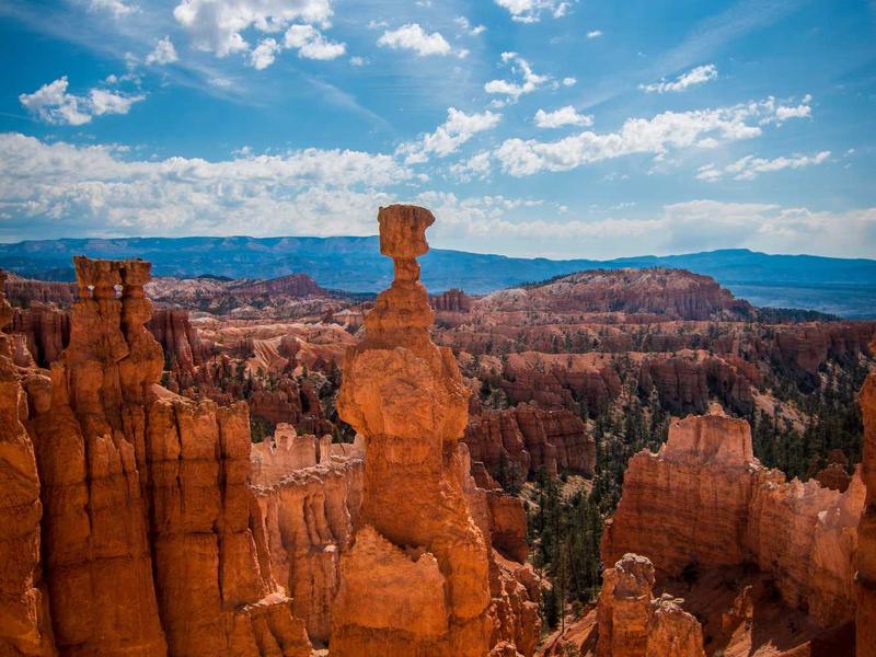 sudoku nature theme screenshot 4