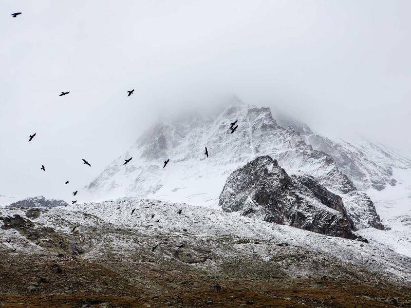 contact screenshot 3